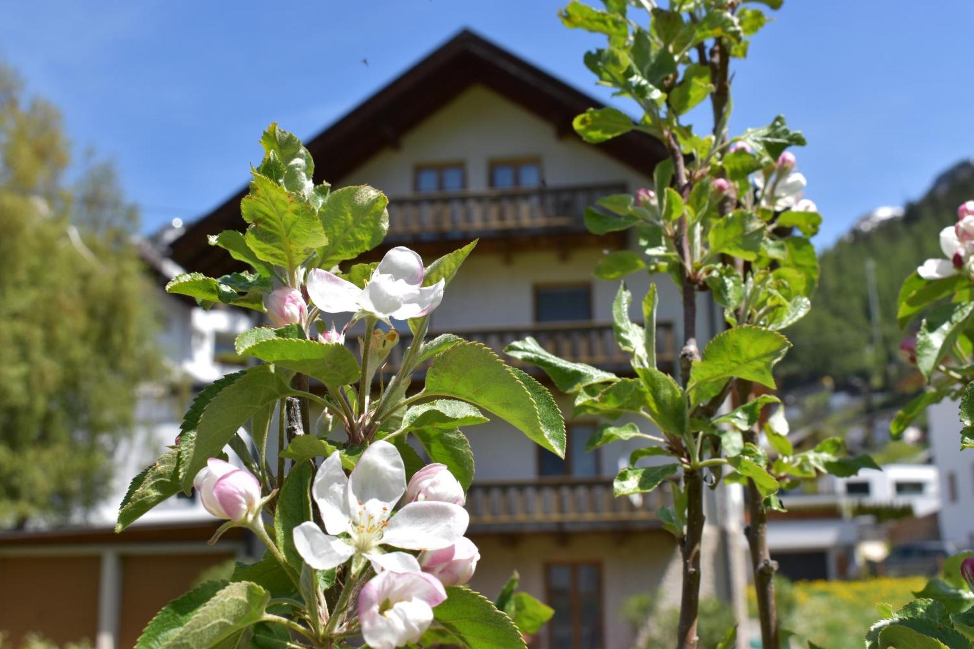 Hirschstube Nauders Bed & Breakfast Eksteriør bilde